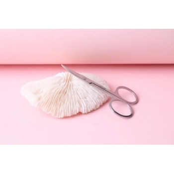 TESOURA PARA SOBRANCELHA MISS FRANDY TE24-0308